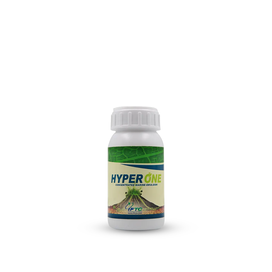 Hyper One
